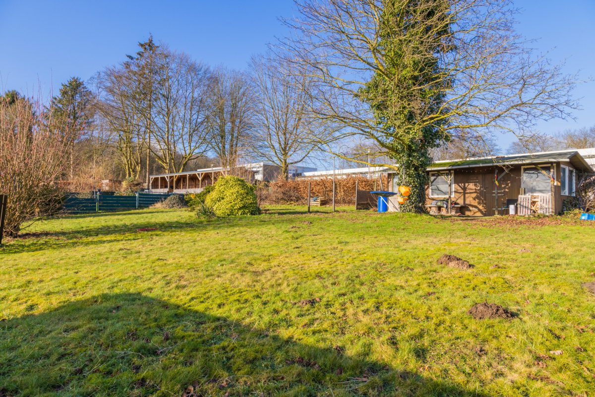 Immobilienangebot - Hanerau-Hademarschen - Alle - Individuelles Einfamilienhaus mit zusätzlichem Baugrundstück
in Hanerau-Hademarschen