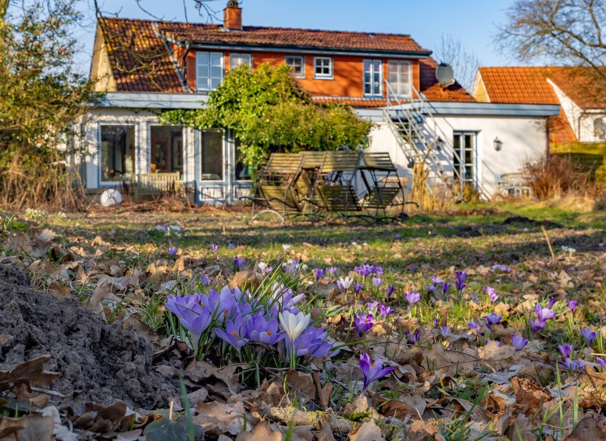Immobilienangebot - Delve - Alle - ---Multitalent zu verkaufen---
wohnen, arbeiten, vermieten