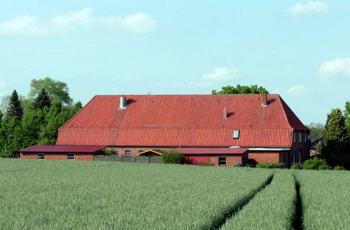 Immobilienangebot - Puls - Alle - Nur noch Warteliste: Charmanter Resthof mit Baugrundstück und 2 Hektar Land in 25560 Puls