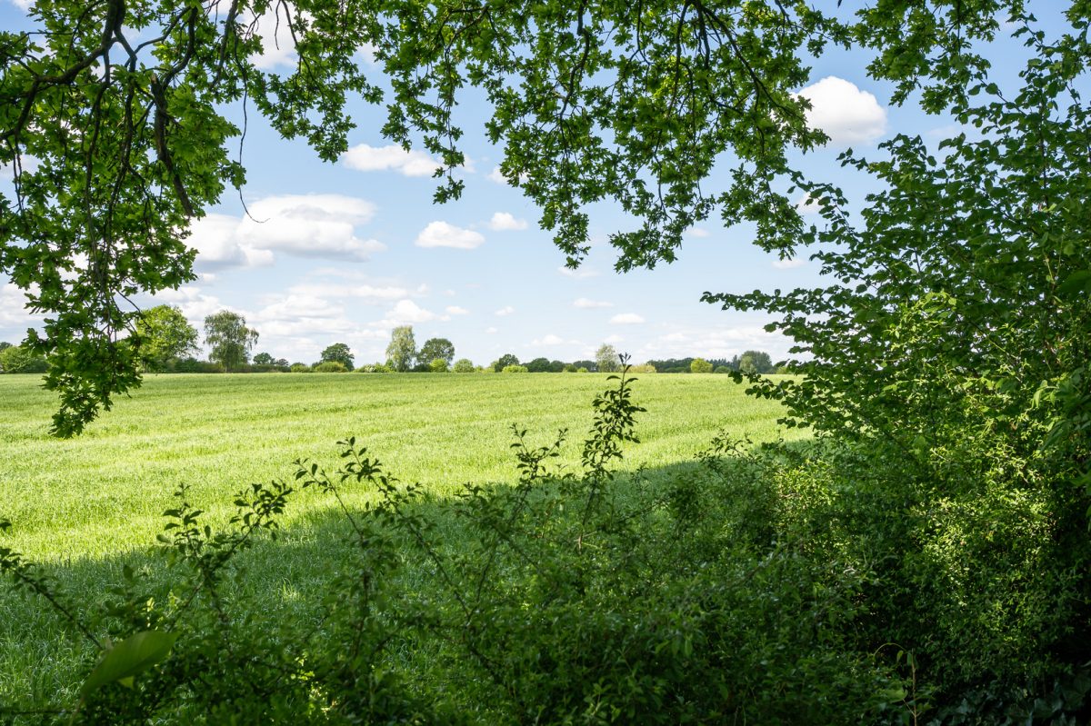 Immobilienangebot - Rausdorf - Alle - NUR NOCH WARTELISTE !!! Landhaus mit Charme und Feldrandlage vor den Toren Hamburgs