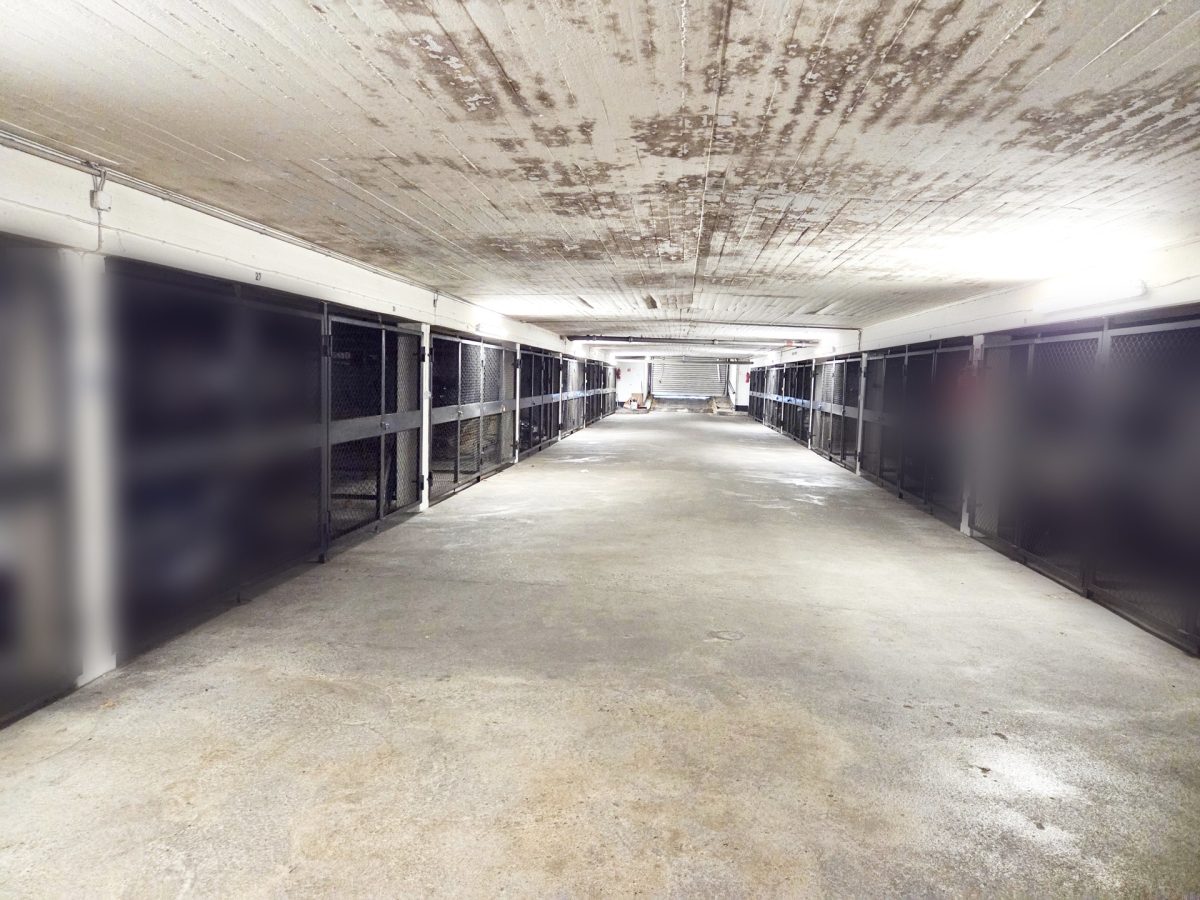 Immobilienangebot - Hamburg / Sasel - Alle - Schöne 1-Zimmer-Wohnung: Mit überragendem Blick ins Grüne über die Dächer von Hamburg-Sasel