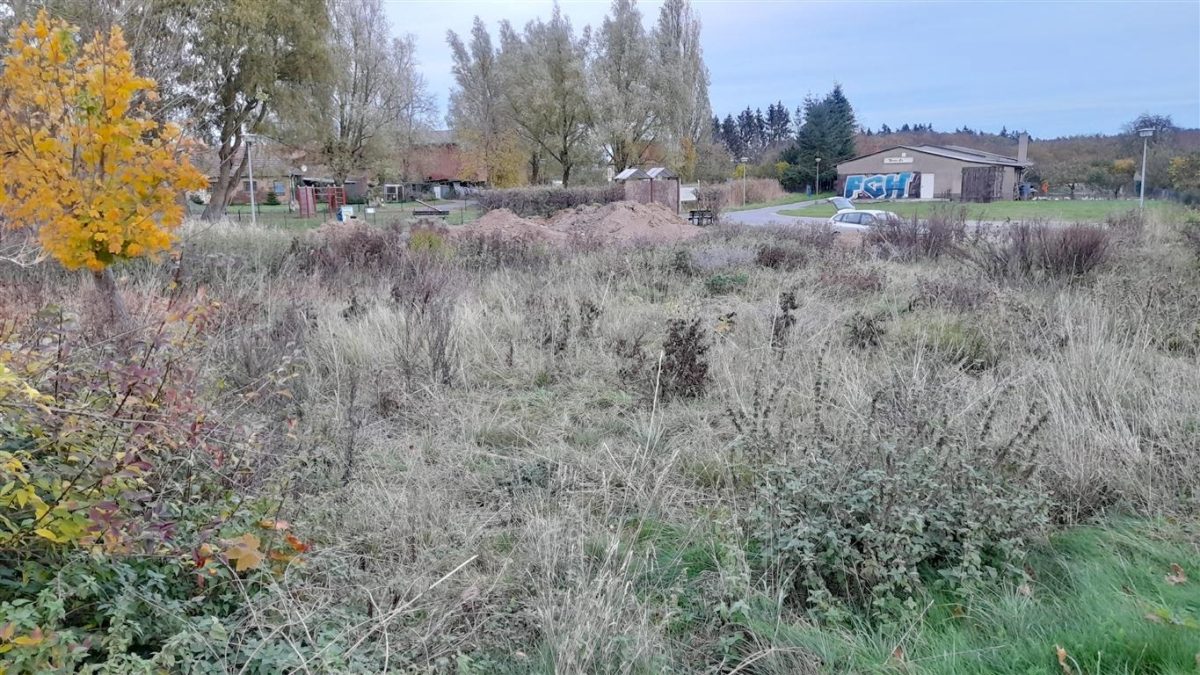 Immobilienangebot - Malchin - Alle - Courtagefreies Baugrundstück für Wohnen und Gewerbe
auch Teilung möglich
