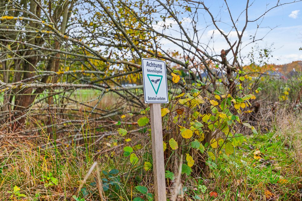 Immobilienangebot - Dassendorf - Alle - Traumhaftes Baugrundstück am Rande des Naturschutzgebiets in Dassendorf