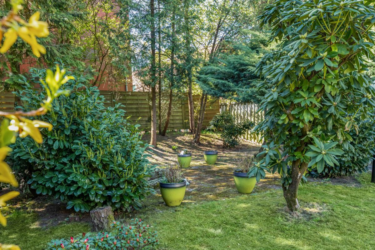Immobilienangebot - Hamburg / Farmsen-Berne - Alle - Charmante Stadtvilla mit Vollkeller und großzügigem Süd-Grundstück in ruhiger Anwohnerstraße