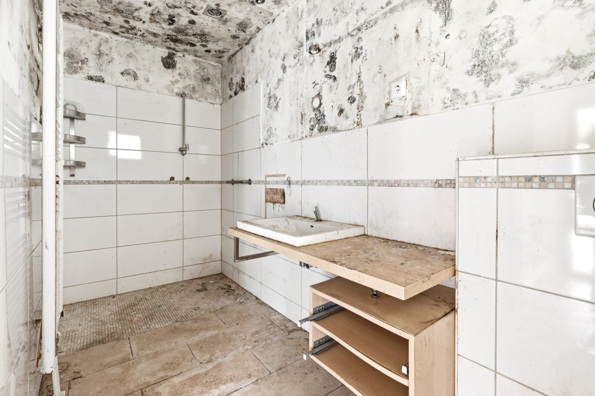 Immobilienangebot - Buxtehude - Alle - Handwerker aufgepasst! Sanierungsobjekt mit großem Potenzial