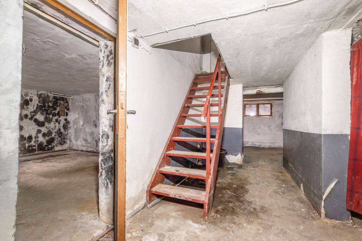 Immobilienangebot - Buxtehude - Alle - Handwerker aufgepasst! Sanierungsobjekt mit großem Potenzial