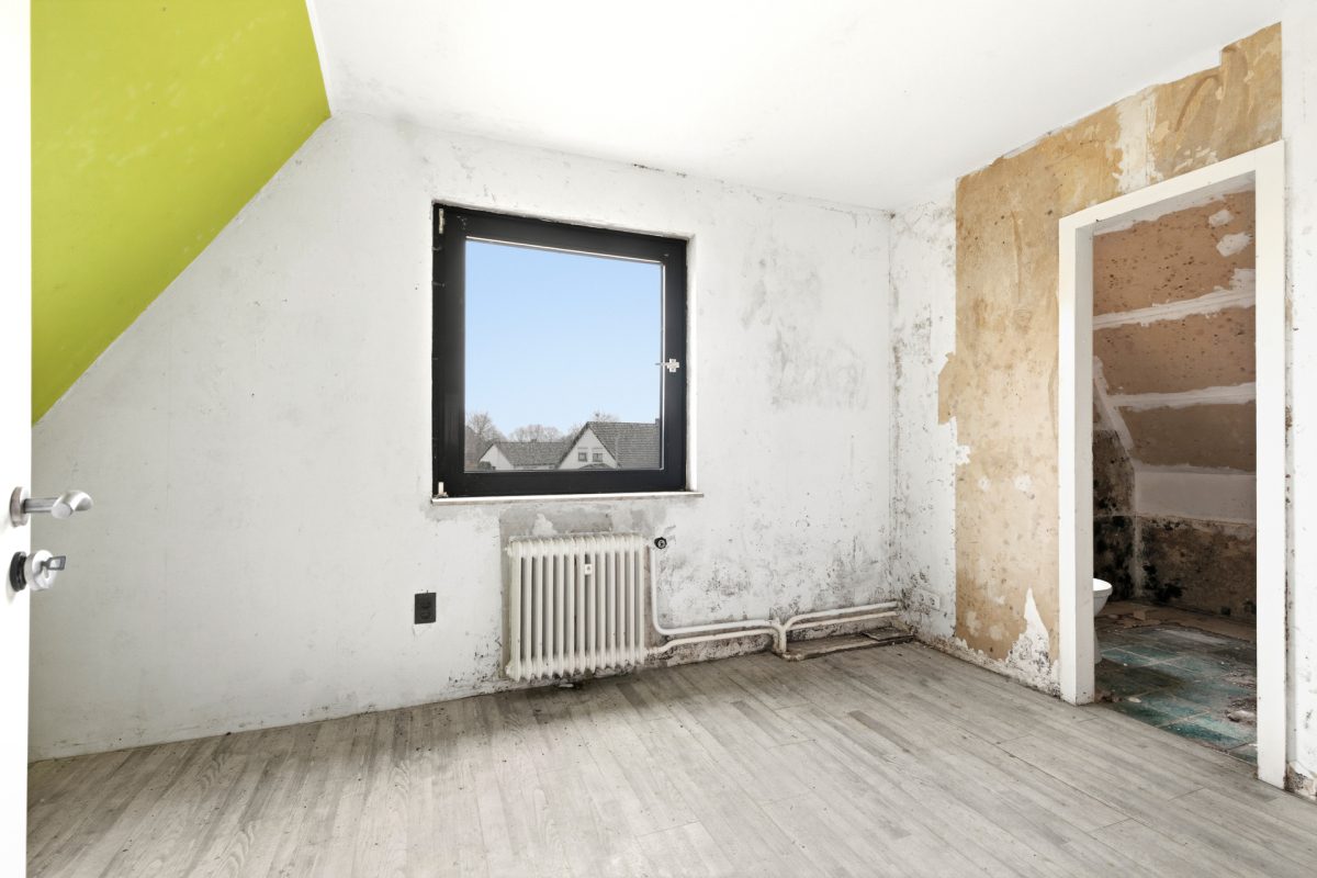 Immobilienangebot - Buxtehude - Alle - Handwerker aufgepasst! Sanierungsobjekt mit großem Potenzial