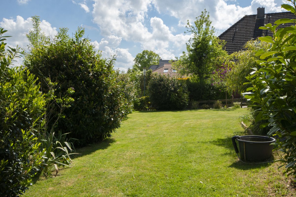Immobilienangebot - Schenefeld - Alle - Großzügiges Einfamilienhaus mit Einliegerwohnung in ruhiger Sackgassenlage