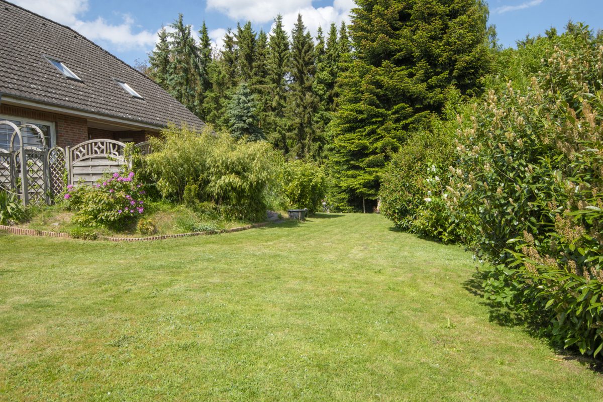Immobilienangebot - Schenefeld - Alle - Großzügiges Einfamilienhaus mit Einliegerwohnung in ruhiger Sackgassenlage