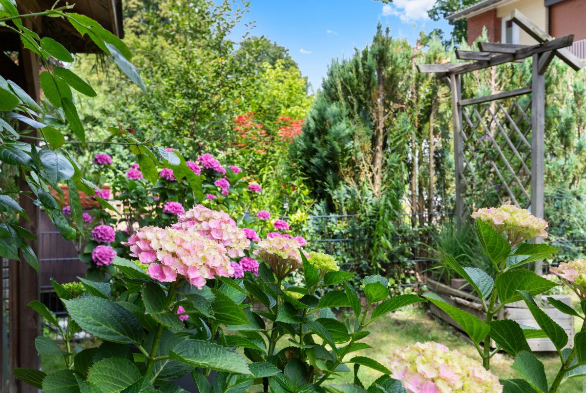 Immobilienangebot - Hamburg / Meiendorf - Alle - WARTELISTE! Reihenhaus mit grünem, liebevoll angelegtem Westgarten und viel Platz zum Wohlfühlen