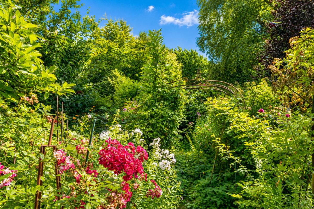 Immobilienangebot - Beringstedt - Alle - Einfamilienhaus mit Geschichte
Gartenfreunde gern gesehen
