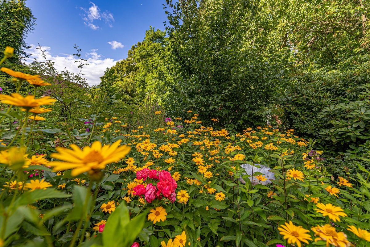 Immobilienangebot - Beringstedt - Alle - Einfamilienhaus mit Geschichte
Gartenfreunde gern gesehen