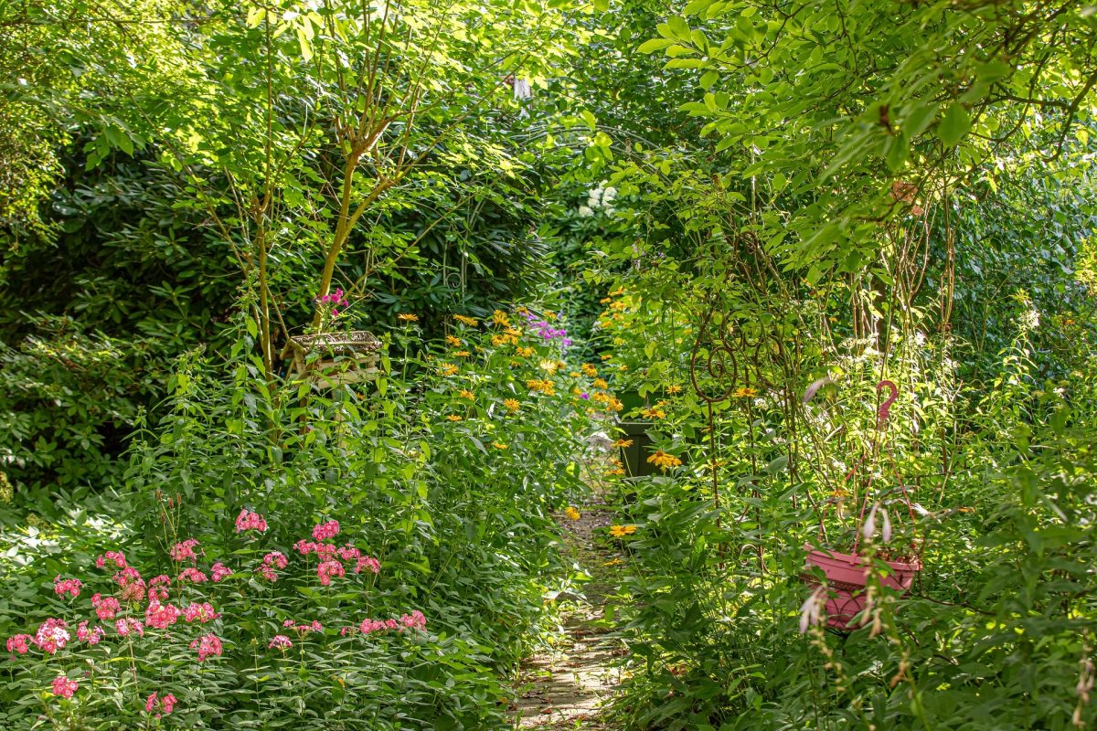 Immobilienangebot - Beringstedt - Alle - Einfamilienhaus mit Geschichte
Gartenfreunde gern gesehen