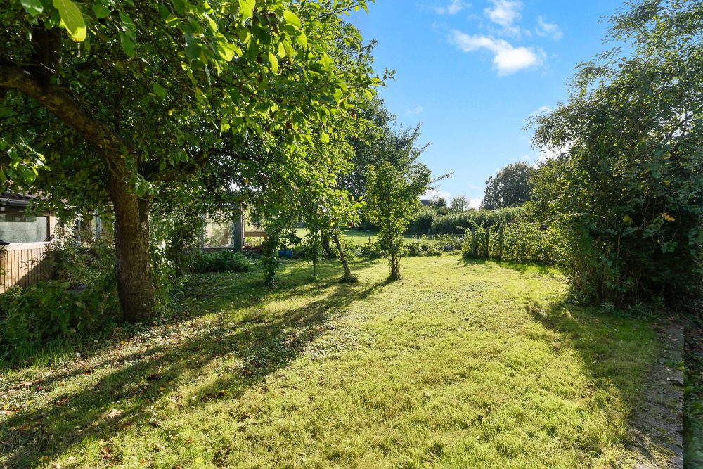 Immobilienangebot - Mustin - Alle - Handwerker aufgepasst: Einfamilienhaus mit viel Gestaltungsspielraum nahe des Ratzeburger Sees!