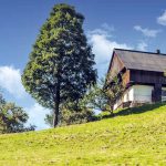 Landleben: Potenzial für bezahlbare Immobilien?