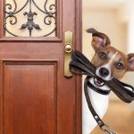 Schätzwert online oder aus der Praxis? - So gelingt die Immobilienbewertung! - HUST Immobilien