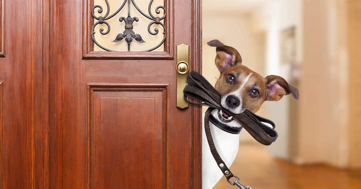 Schätzwert online oder aus der Praxis? - So gelingt die Immobilienbewertung! - HUST Immobilien