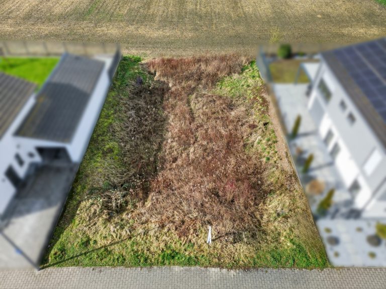 HUST Immobilien GmbH & Co. KG - Immobilienangebot - Wörth - Grundstücke - Baugrundstück in Feldrandlage mit 486 m² in Wörth am Rhein