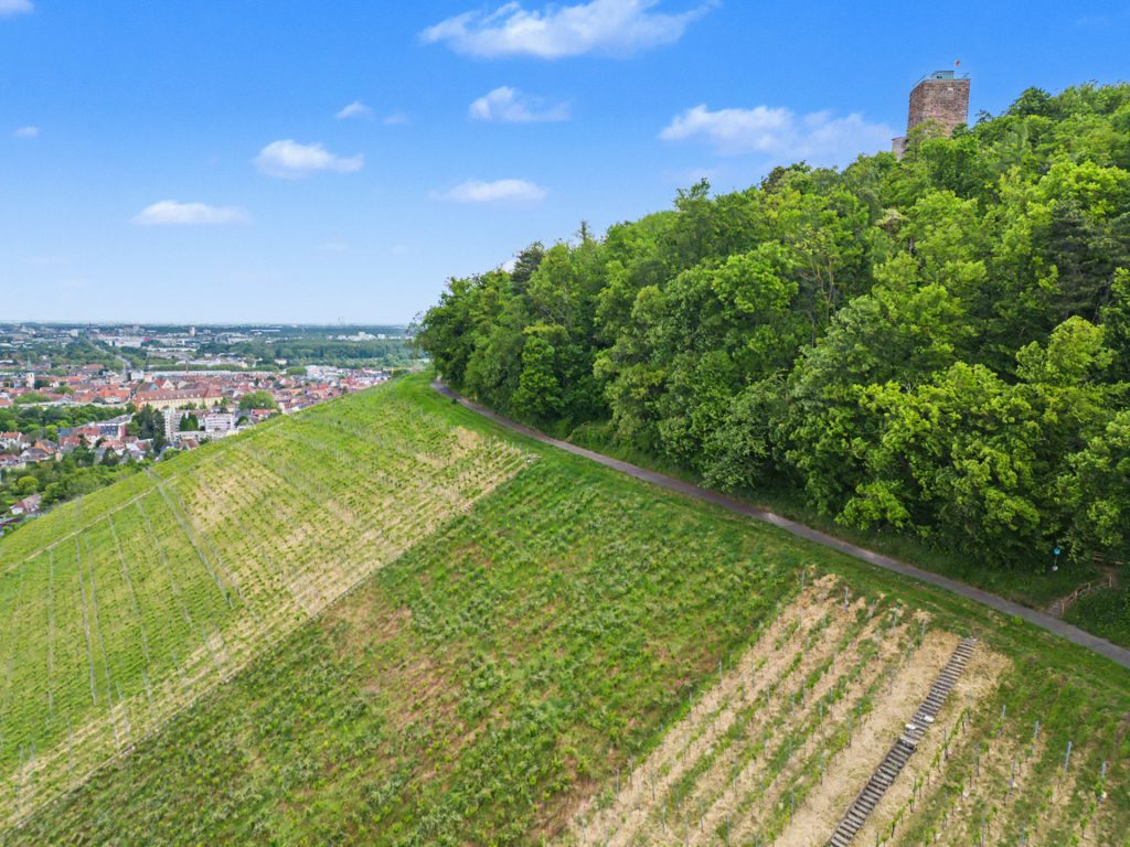 HUST Immobilien GmbH & Co. KG - Immobilienangebot - Karlsruhe-Durlach - Alle - Erholung im Grünen – Liebevoll modernisiertes Wochenendhaus in Karlsruhe-Durlach
