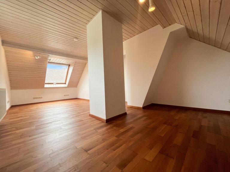 HUST Immobilien GmbH & Co. KG - Immobilienangebot - Ettlingen - Wohnungen - Helle und bezugsfreie 2-Zimmer-Wohnung mit Kochnische in Ettlingen-Spessart