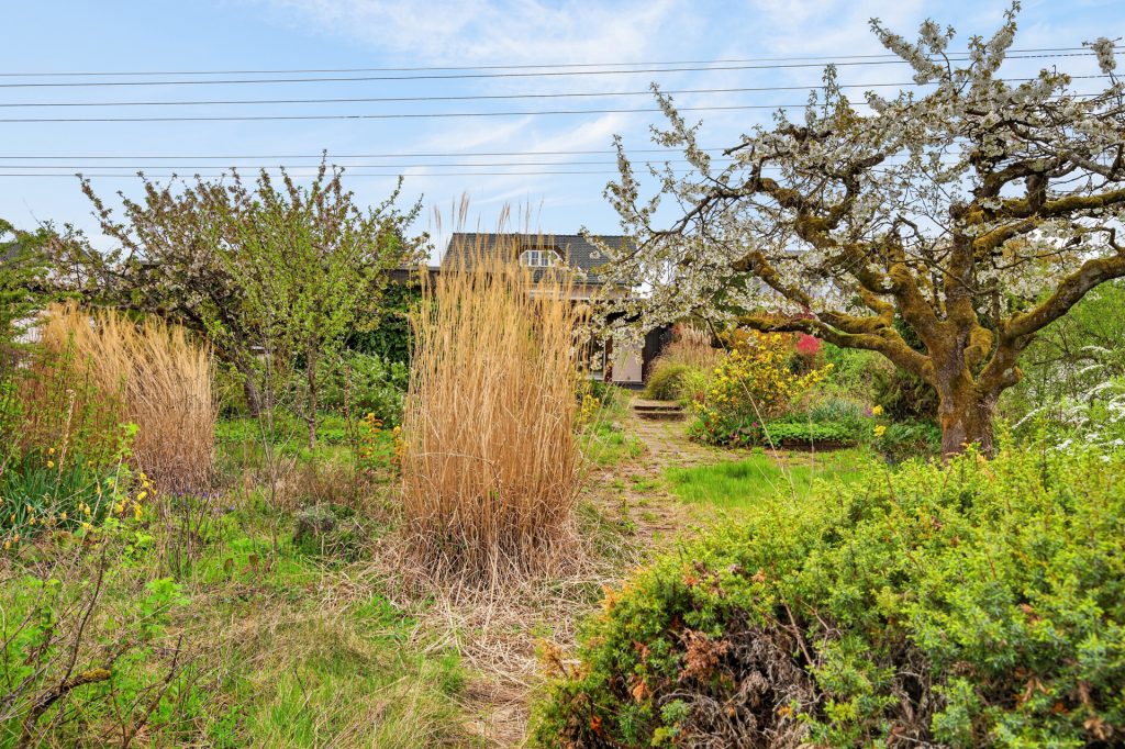 HUST Immobilien GmbH & Co. KG - Immobilienangebot - Rheinstetten / Forchheim - Häuser - Bestandshaus zum Abriss mit 979 m² Baugrund – seltene Chance in Rheinstetten-Forchheim