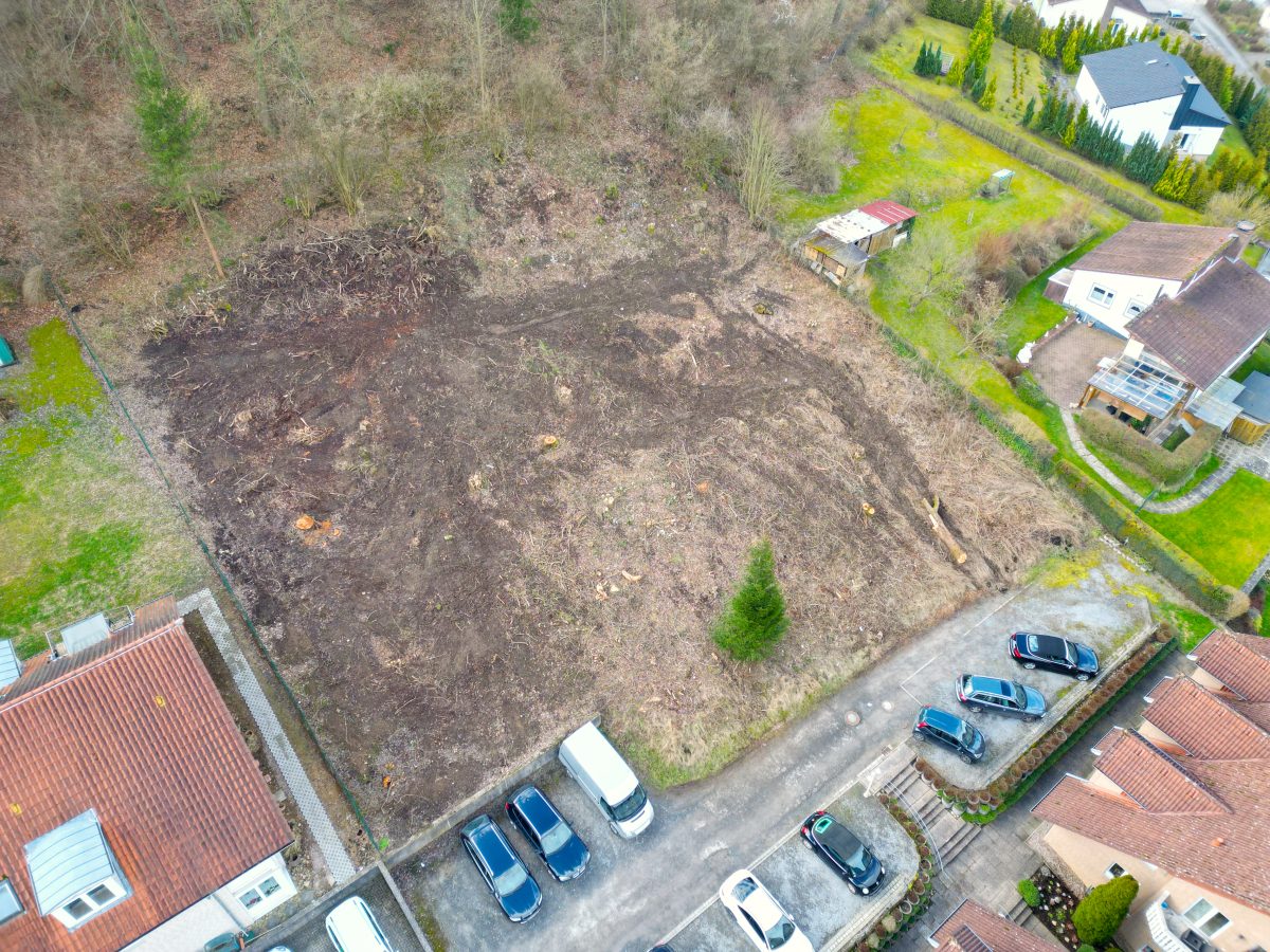 Immobilienangebot - Lügde - Grundstücke - Großes Grundstück mit flexiblen Gestaltungsmöglichkeiten!
