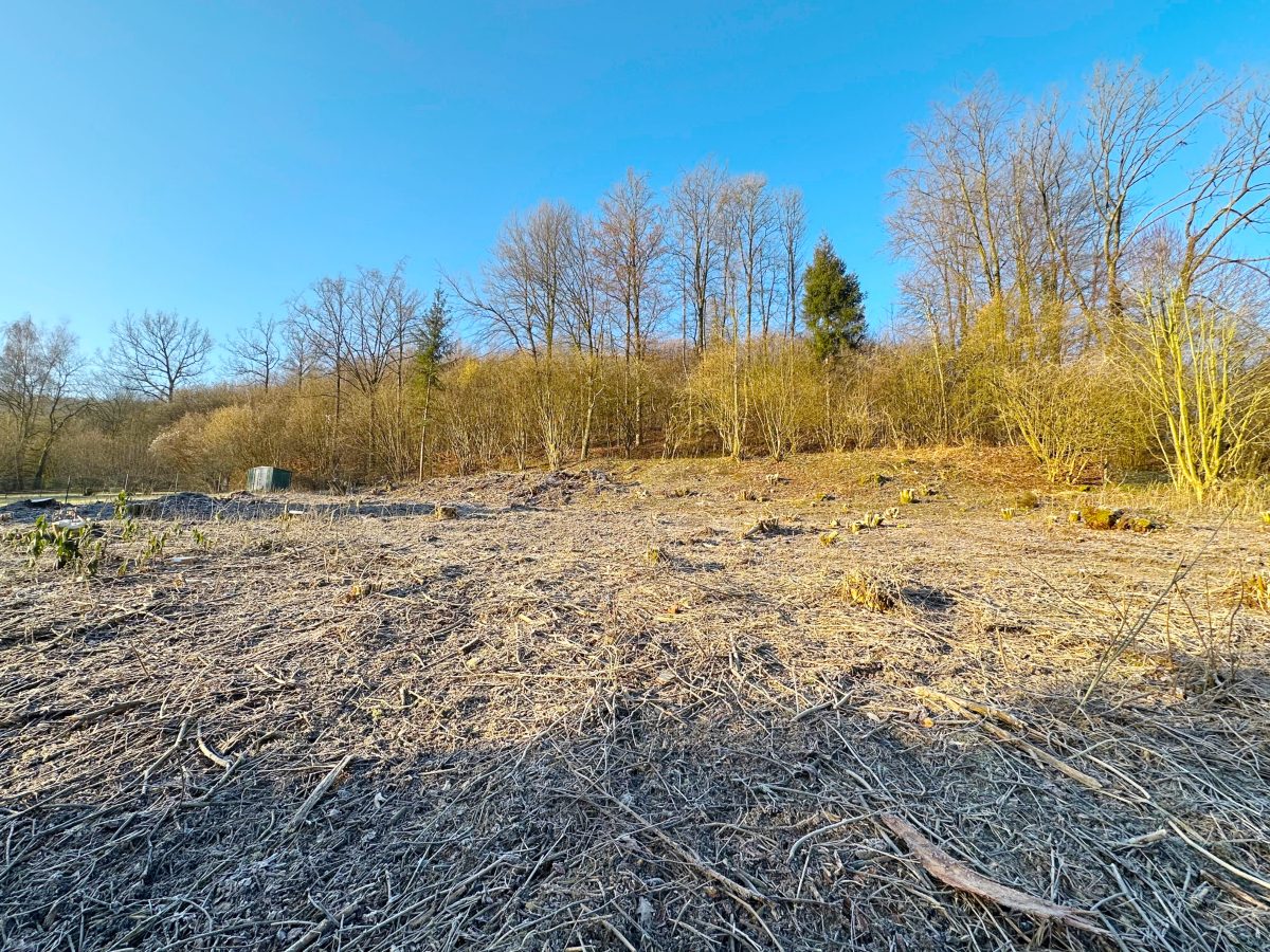 Immobilienangebot - Lügde - Grundstücke - Großes Grundstück mit flexiblen Gestaltungsmöglichkeiten!