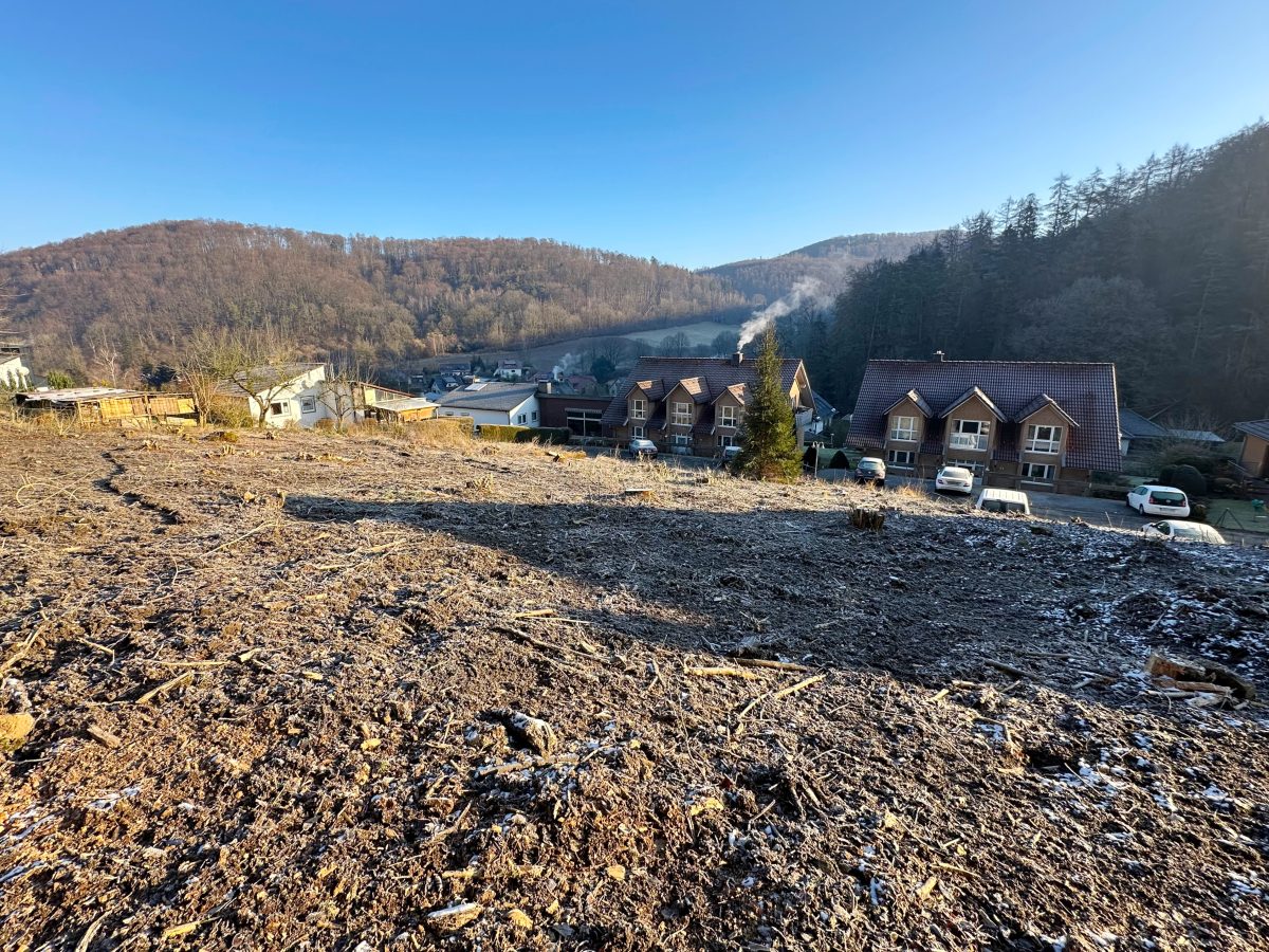 Immobilienangebot - Lügde - Grundstücke - Großes Grundstück mit flexiblen Gestaltungsmöglichkeiten!