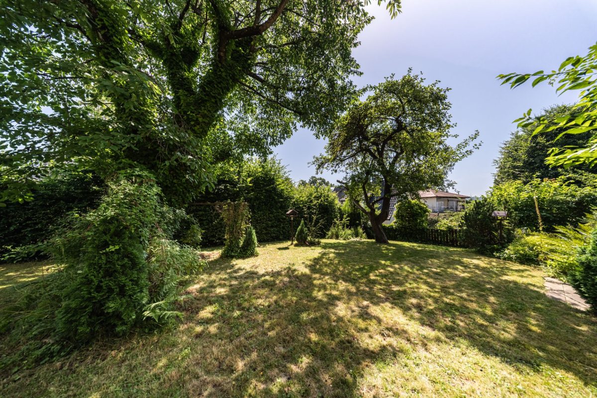 Immobilienangebot - Bad Pyrmont - Alle - Versteckt in zweiter Reihe: Freistehendes Einfamilienhaus mit tollem Garten!