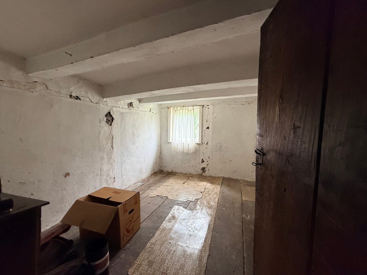 Immobilienangebot - Lügde - Alle - Für Handwerker ein echtes Juwel: Wohnhaus mit 1.011 m² Grundstück, Bachlauf und großer Scheune