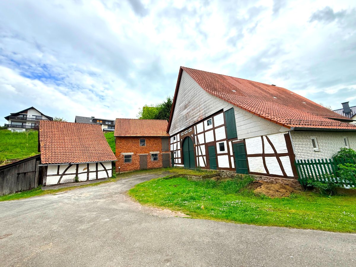 Immobilienangebot - Lügde - Alle - Für Handwerker ein echtes Juwel: Wohnhaus mit 1.011 m² Grundstück, Bachlauf und großer Scheune