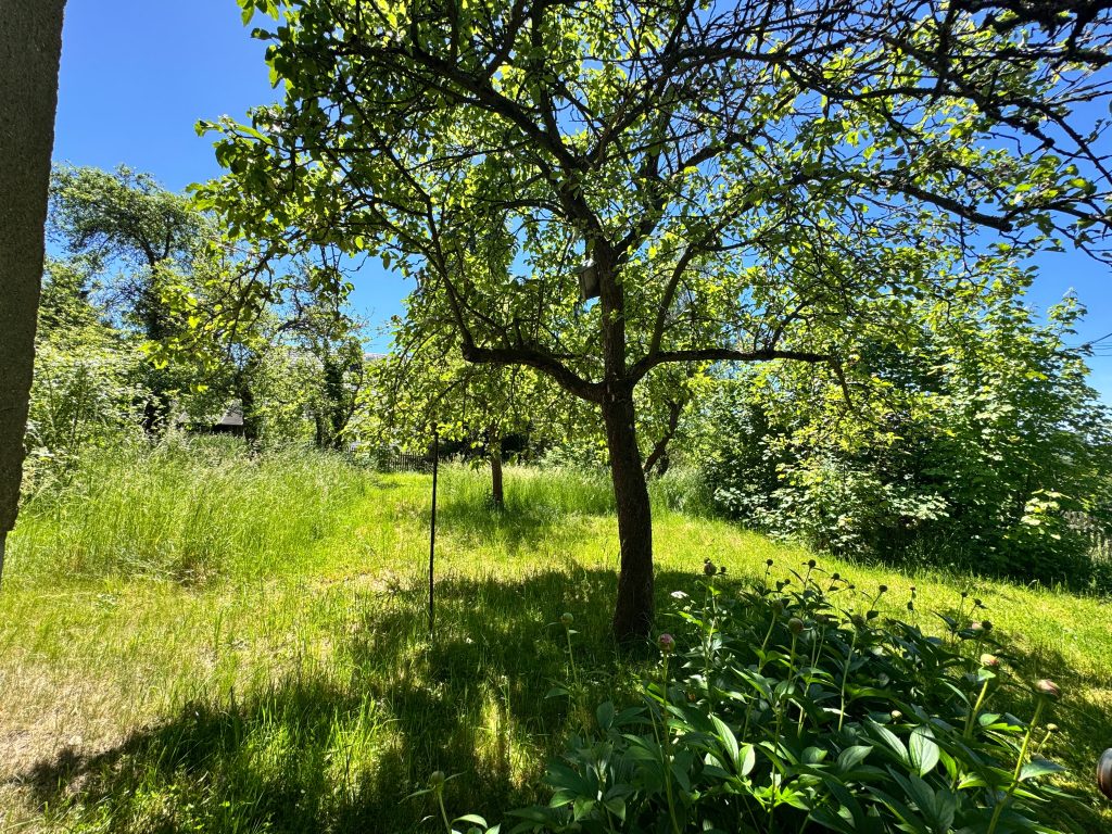 Immobilienangebot - Gera - Alle - Einmalige Chance! 1.547 m² Grundstück mit Bungalow zum Ausbau am Ferberturm in Gera