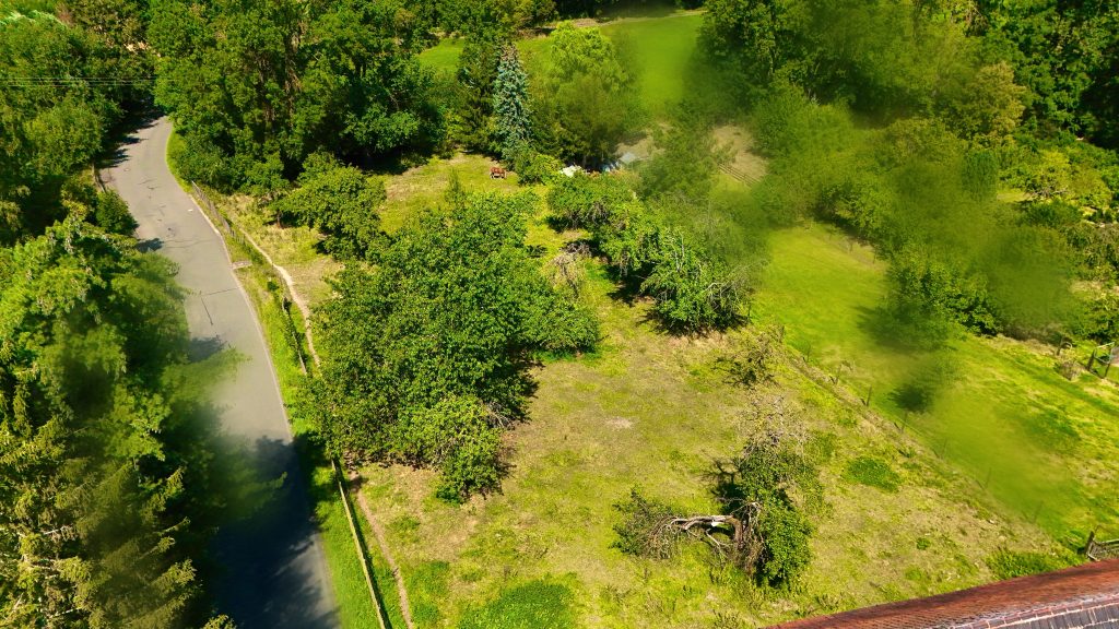 Immobilienangebot - Großenstein - Alle - Landleben mit Freiraum – großzügiger Vierseitenhof für Familie, Tiere & mehrere Generationen