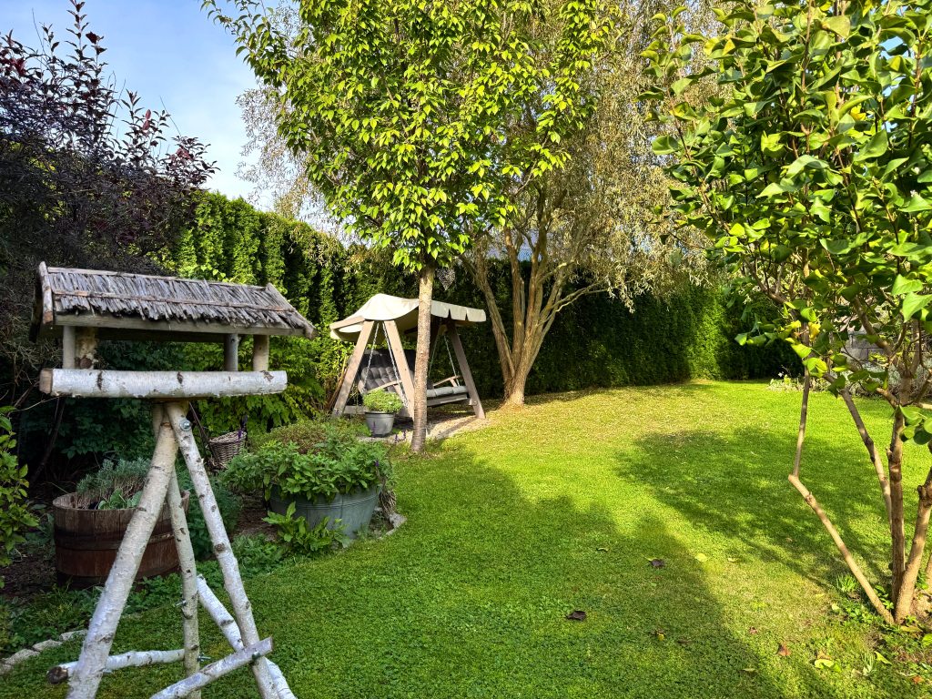 Immobilienangebot - Gera - Alle - Ein Zuhause zum Verlieben – modernes Einfamilienhaus mit traumhaftem Garten in familienfreundlicher Lage