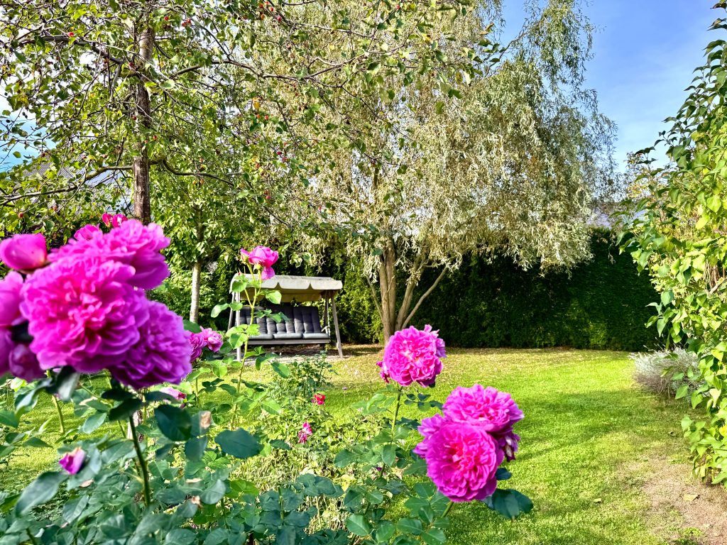 Immobilienangebot - Gera - Alle - Ein Zuhause zum Verlieben – modernes Einfamilienhaus mit traumhaftem Garten in familienfreundlicher Lage