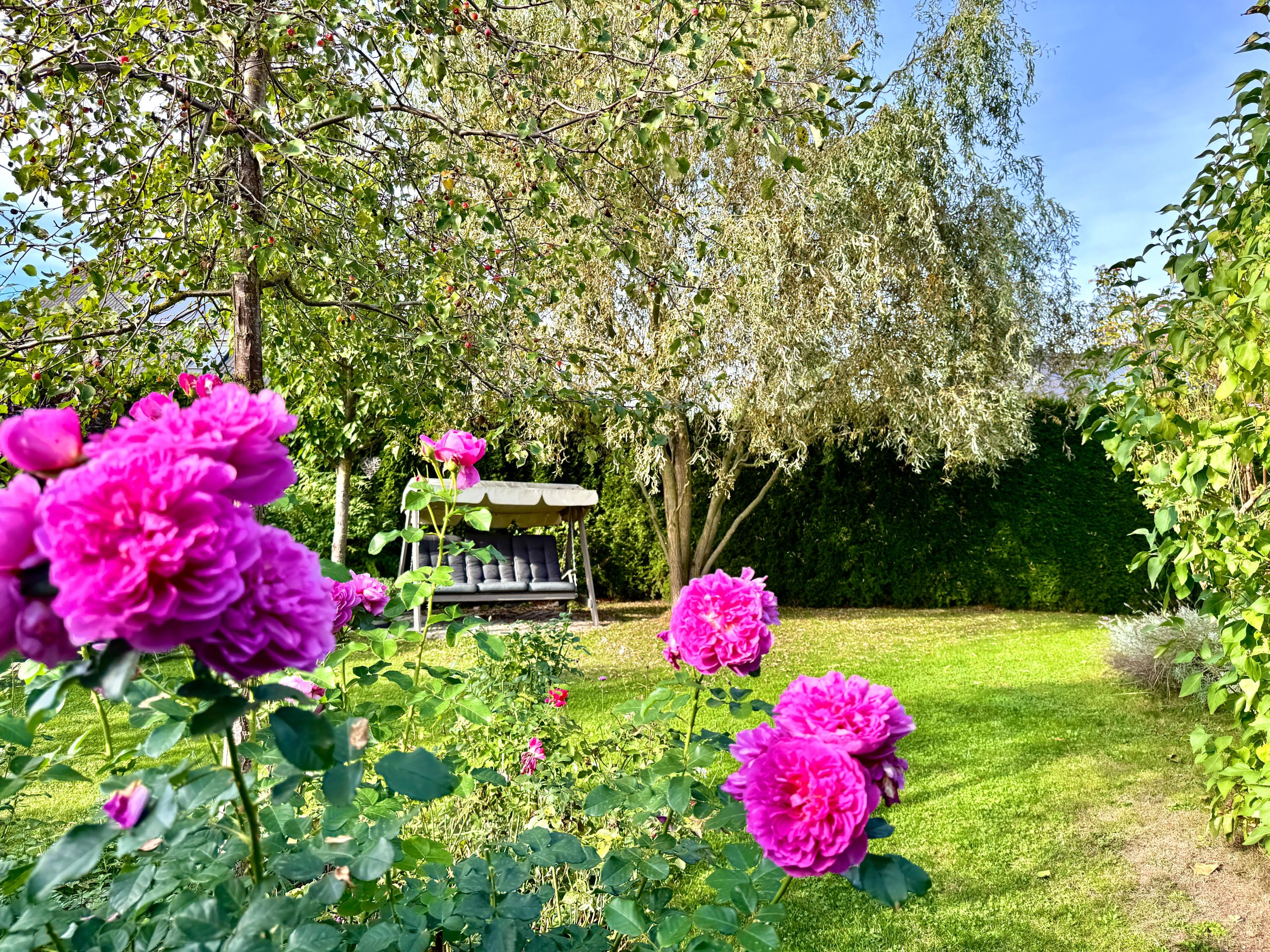 Immobilienangebot - Gera - Alle - Ein Zuhause zum Verlieben – modernes Einfamilienhaus mit traumhaftem Garten in familienfreundlicher Lage