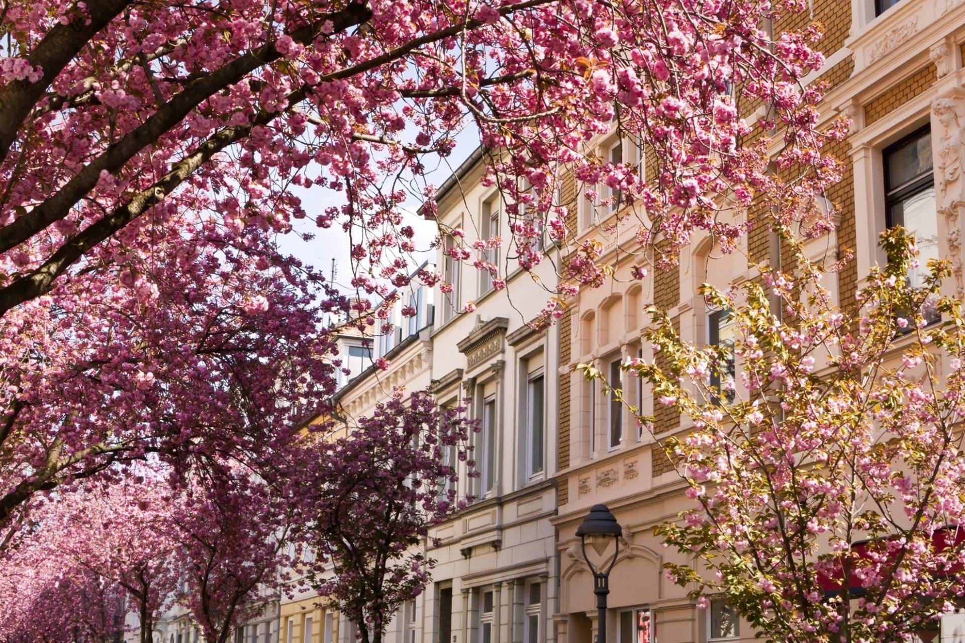 becker-immobilien-immobilienmakler-bonn Becker Immobilien - Ihr Immobilienmakler in Bonn und der Umgebung!