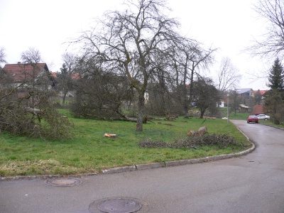 Immobilienangebot - Loßburg - Alle - *** 4 schöne Bauplätze ***