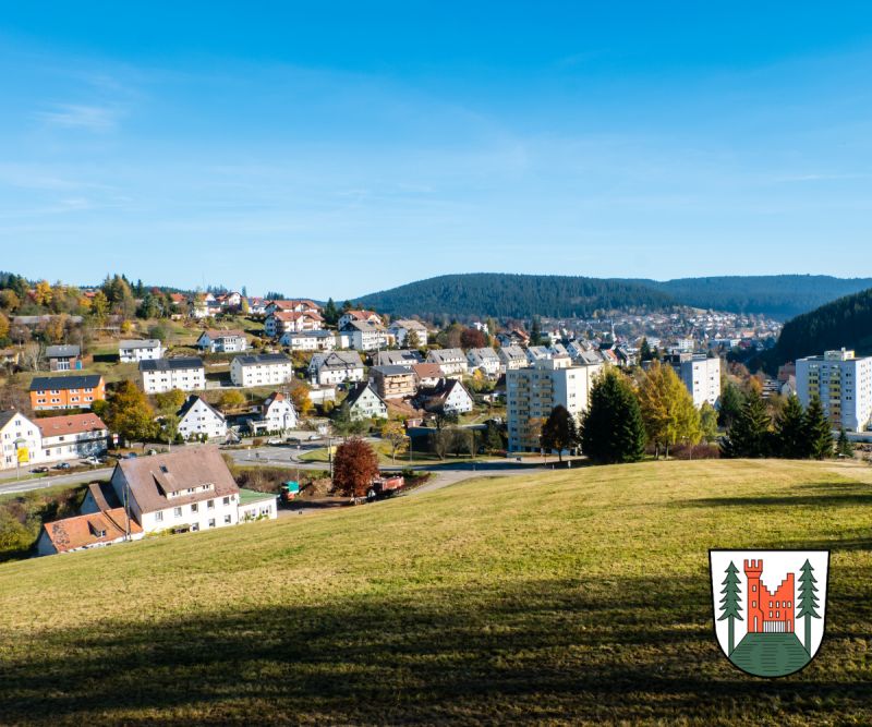 Furtwangen - Schwarzwald-Baar-Kreis Landschaftsaufnahme Furtwangen - Herbst Immobilien