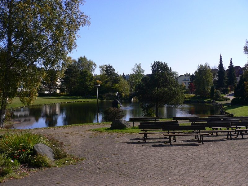 Immobilienangebot - Schonach - Alle - Mit Einbauküche, 2 Balkonen und 2 Duschbädern direkt am Kurpark: schicke 3-Zimmer-Wohnung im schönen Schwarzwald!