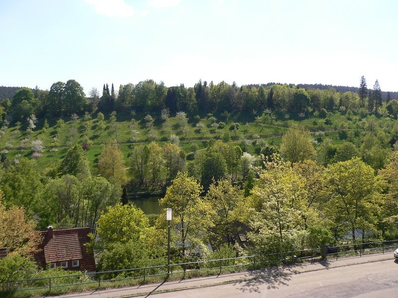 Immobilienangebot - Unterkirnach - Alle - Mit Seeblick: Wohnen, wo andere Urlaub machen!
Sofortiger Bezug ohne Renovierungsaufwand möglich.
