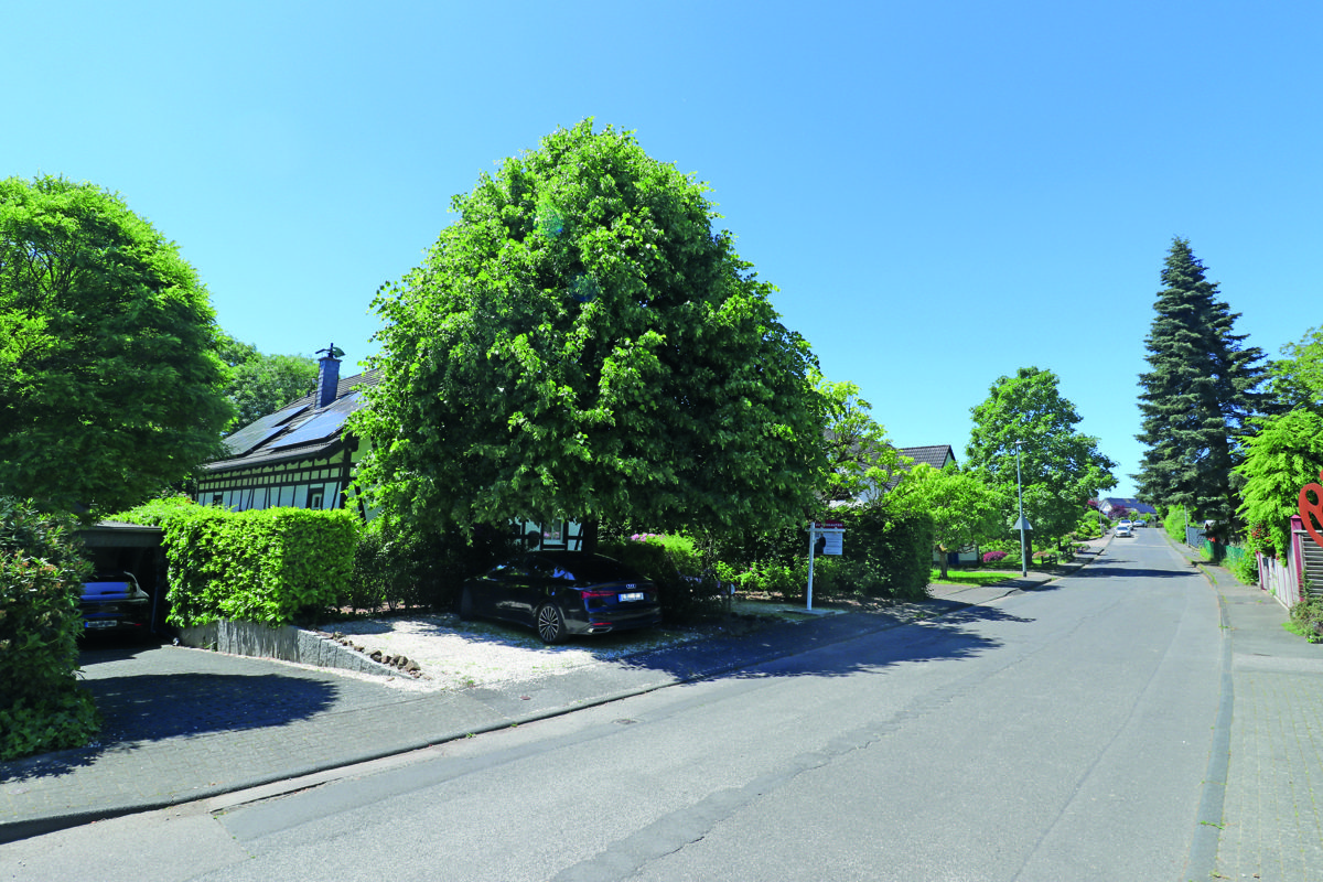 Immobilienangebot - Bergisch Gladbach - Häuser - Am Landschaftsschutzgebiet: Große Fenster & viel Licht: Platz für die Familie, mit Einliegerwohnung