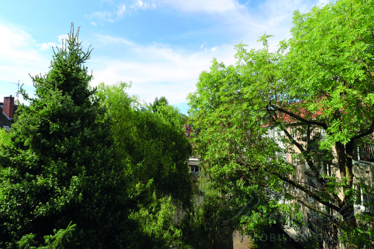 Immobilienangebot - Köln - Wohnungen - Griechenmarktviertel: Urbanes Wohnen im Dachgeschoss mit Loggia – keine Nachbarn über Ihnen!