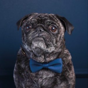 Foto von George