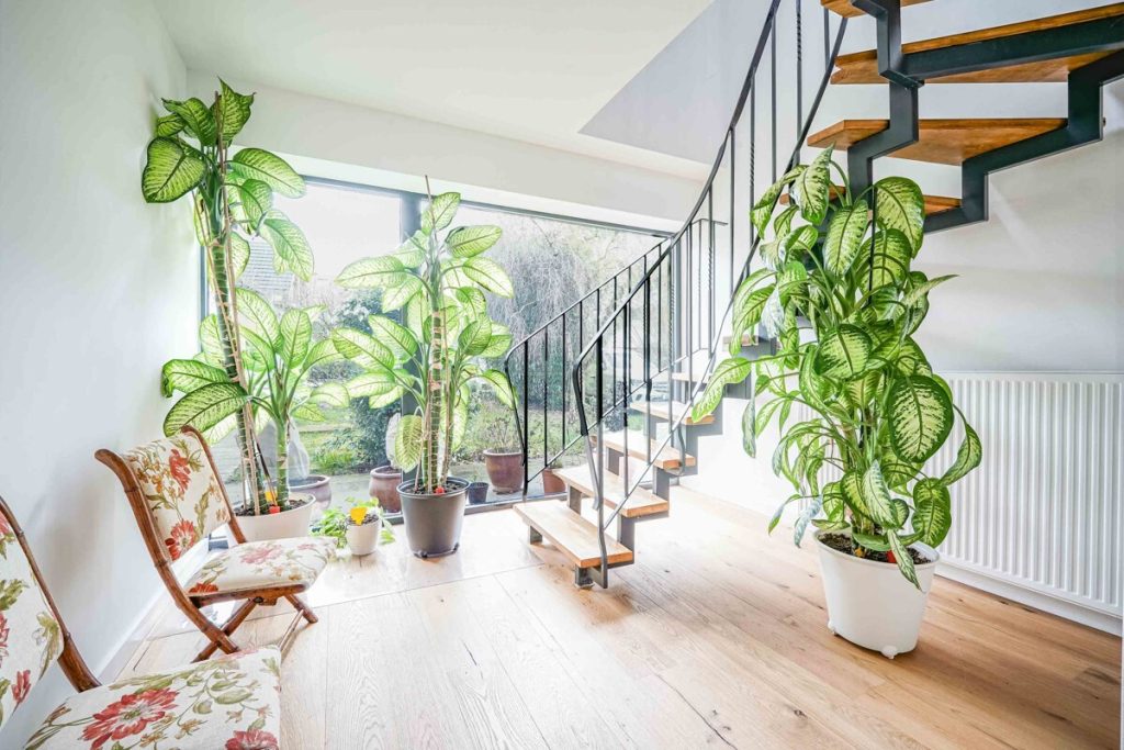 Immobilienangebot - Rösrath - Alle - Modernes Einfamilienhaus  -  Beliebte Lage  -  Großes Grundstück