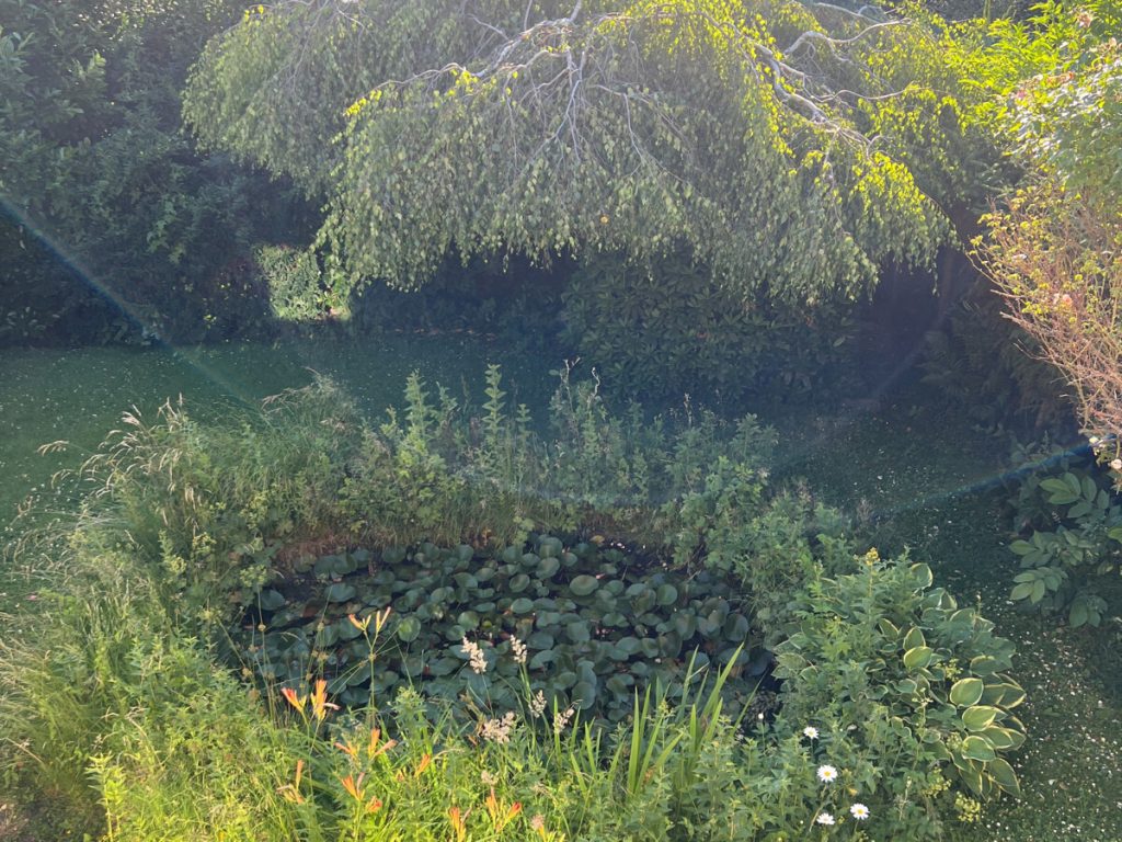 Immobilienangebot - Wachtberg - Alle - Einfamilienhaus mit Einliegerwohnung/
Toller Garten/Ruhige Lage