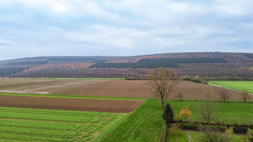 Immobilienangebot - Jülich / Güsten - Alle - Gepflegtes Reihenendhaus mit Garten, Garage & herrlichem Ausblick ins Grüne