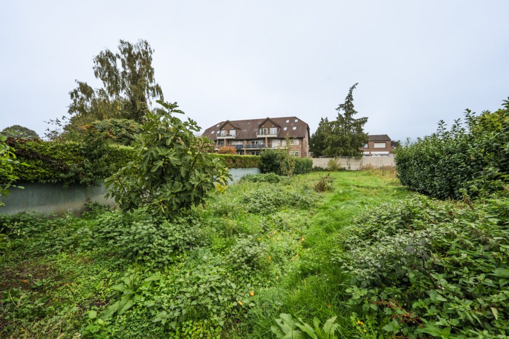 Immobilienangebot - Jülich / Stetternich - Alle - Charmantes Reihenendhaus mit Garten & Erweiterungspotenzial