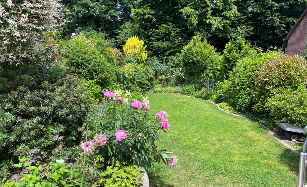 Immobilienangebot - Bonn - Alle - Offenes Wohnkonzept  -  Umfassend modernisiert  -   Zwei Sonnenterrassen
