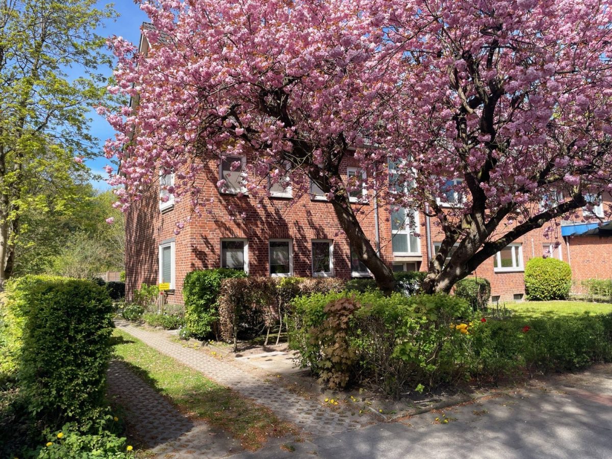 Immobilienangebot - Kiel / Ellerbek - Alle - Grün, Ruhig, Zentral – 3 Zimmer am Stadtrat-Hahn-Park